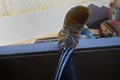 2008.12.31 10:30  カブキ "2008年のラン納め。ラン後のストレッチです。"