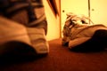 2009.01.01 14:46  ダル "年末にはしゃぎすぎて今日は家でダウンしていますｗｗ なのでシューズを撮ってみました。"