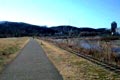 2009.01.01 18:08  ベポ "おめでとうございます！ 埼玉県飯能市の某所です。"