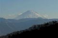 2009.01.21 23:30  リティ "先日の山梨にて。富士山です。"