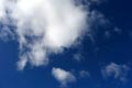 2009.01.25 11:31  リティ "先日ラン前に撮った写真 「青い空の真下に、、、」"
