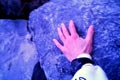 2009.01.26 21:19  やゃゃ "今朝出張先の琵琶湖畔を早朝ラン１時間<br />長浜城のお堀にタッチ"