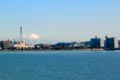 2009.01.28 17:36  まきぽん "昨日30キロも走った疲れが取れず、今日は8キロ、46分。<br />ジムで筋トレ、トレッドミル2キロ。傾斜付けて。<br />今日は天気が良くて宍道湖沿いから大山をみることができました(o^∀^o)"