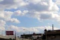 2009.02.06 15:57  リティ "ラン中に撮った青空、頭上を走るのは自動車専用の高架橋です。"