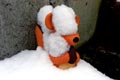 2009.02.08 16:10  リティ "雪が降った日リスの置物に雪が、、、北国のランニングはきびしいなぁ～"