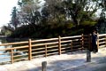 2009.02.11 22:25  pippoko "外ラン定番コースの駿府公園です。昼間、息子（♂10歳）と一緒に3周（1.6km×3）しました。桜の時期はすごくきれいです。"