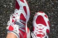 2009.02.11 22:25  pippoko "最近先月末からお世話になっているadidas adizeroのMANAです。今日は一応インナー、ロングTシャツ、ジャージ、スパッツ、ランパン、ソックス、ウェストP、タオル、そしてシューズと全てadidasを着用しました。（というかadidasしか持っていない）天気が良いと気持ちが良いです。"