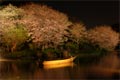 2009.04.02 23:50  カブキ "横浜、三溪園の観桜の夕べです。"