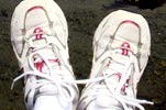 2009.04.08 12:38  はなふう "＊休憩中"