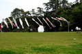 やゃゃ。1周400mの公園。ぐるっと周ってハーフの距離でした