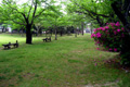 やゃゃ。1周400mの公園。ぐるっと周ってハーフの距離でした