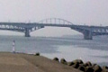 ランタナ。今朝の荒川河口０ｷﾛ地点までラン。その時の１枚