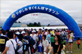 ７日に山形の東根さくらんぼマラソン１０キロに参加してきました。すごい参加者だ！８０００人くらいいたとか！？
