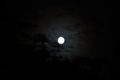 七夕の夜。お月さんが見える！