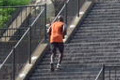 昨日参加した葉山ハッシュハウスハリアーズの写真をアップします。葉山に棚田があって驚きました。