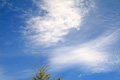 上を向いて歩こう　幸せは　雲の上に 幸せは　空の上に